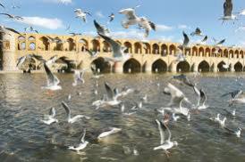مژده: مدیر عامل شرکت آب منطقه اصفهان از جاری شدن زاینده رود در ۱۱ فروردین ماه خبر داد